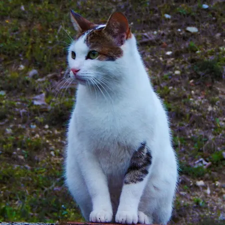 River Side Casa de hóspedes 3*