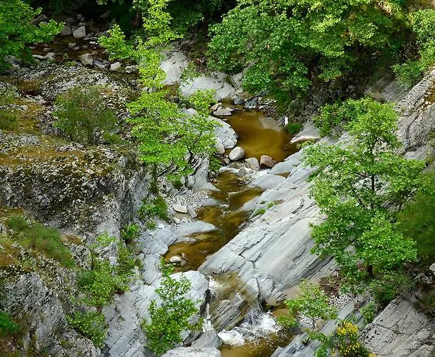 River Side Guest house 3*